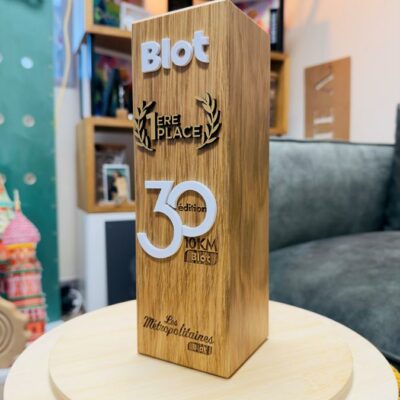 trophée bois massif original