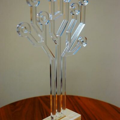 trophée plexi bois